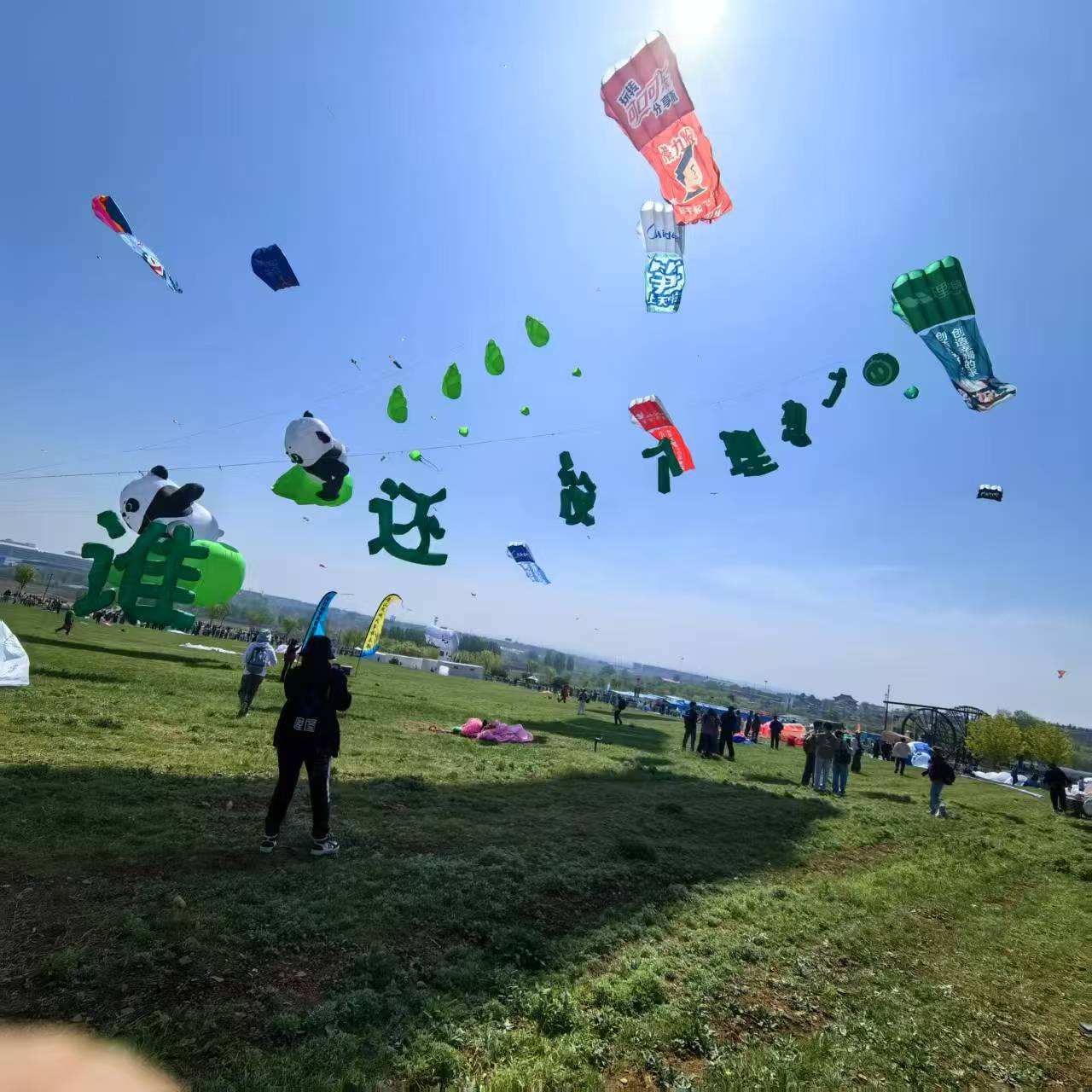 鸡西市宣传风筝定制风筝定制 - 哪里好